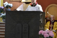 foto006